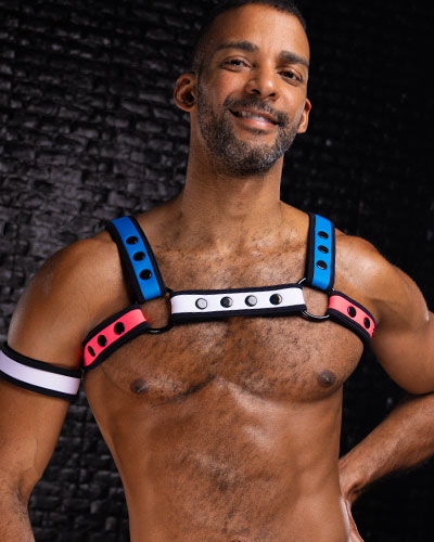 Harnesses