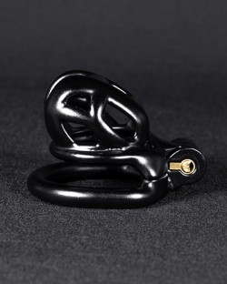 Complete Cobra Chastity Kit