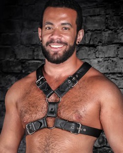 English Top Buckle Harness - Garment
