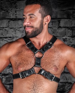 English Top Buckle Harness - Latigo