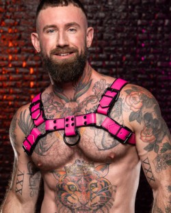 Dark Room Bulldog Harness - Pink