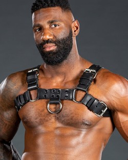 Back Alley Bulldog Harness