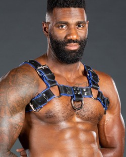 Bulldog Harness 2.0 Blue
