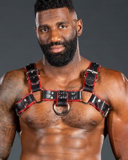 Bulldog Harness 2.0 Red
