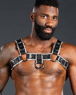Bulldog Harness 2.0 White