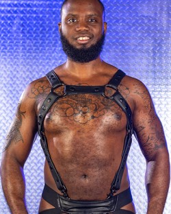 Crossbow Body Harness