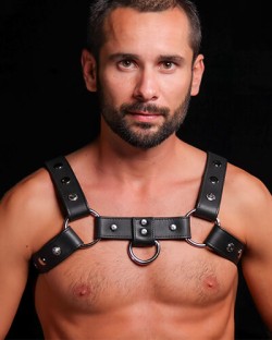 Silver Snap Bulldog Harness