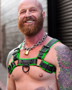 Hardline Bulldog Harness - Lime