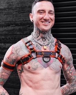 Hardline Bulldog Harness - Orange