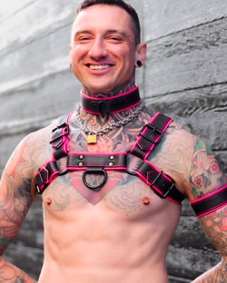 Hardline Bulldog Harness - Pink