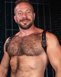 Cadet Shoulder Harness - Red
