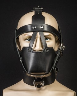 Head Harness Muzzle - Padded & Locking Buckles