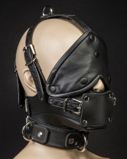 Bishop Head Harness