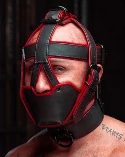 Hardline Head Harness Muzzle - Padded & Non-Locking - Red