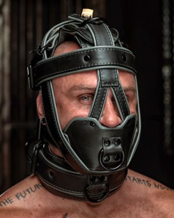Deluxe Hardline Head Harness Muzzle - Heavy Padded & Locking - Grey