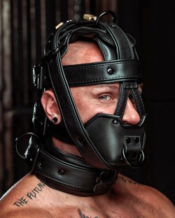 Deluxe Hardline Head Harness Muzzle - Heavy Padded & Locking - Black