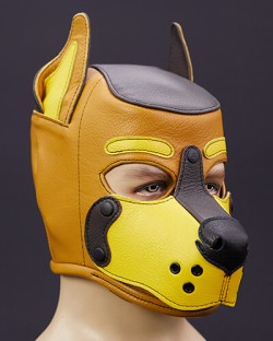 Leather K9 Hood: Build Your Own