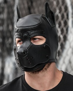 Leather K9 Hood - Black