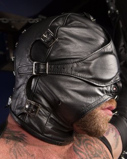 Asylum hood