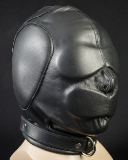 Isolation Hood