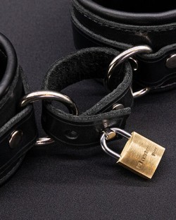 Restraint Connector