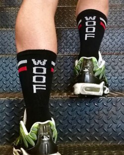 Skater Socks - Woof - Black