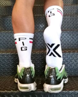 Boxer Barcelona Skater Socks - Pig