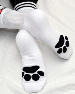 Sk8erboy Socks - Puppy