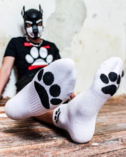 Sk8erboy Crew Socks - Puppy - 2 Colors