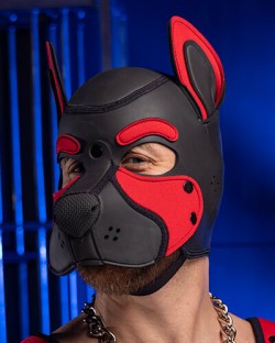 Neoprene Frisky Pup Hood - 16 Colors