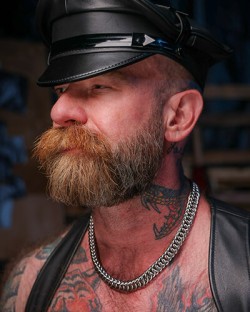 Chain-Male Stainless Steel Collar - 3 Gauges