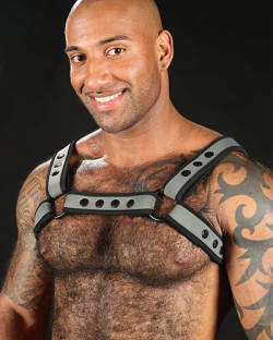 Neo Bold Color Bulldog Harness Grey