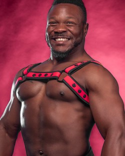 Neo Bold Color Bulldog Harness Pink