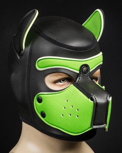 Neoprene Puppy Hood Lime