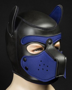 Neoprene Puppy Hood Navy Blue