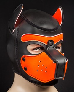 Neoprene Puppy Hood Orange