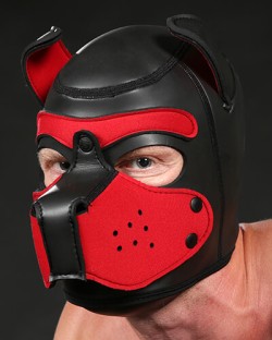 Neoprene Puppy Hood Red