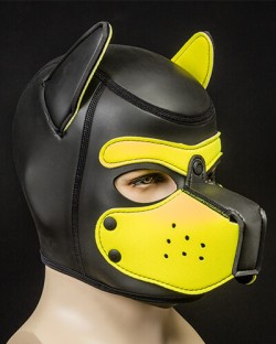 Neoprene Puppy Hood Yellow