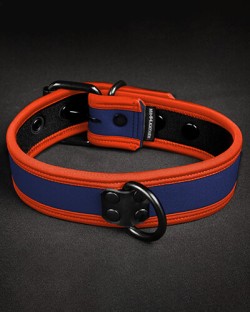 Neo Bold Color Puppy Collar Custom
