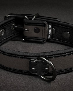 Neo Bold Color Puppy Collar Grey