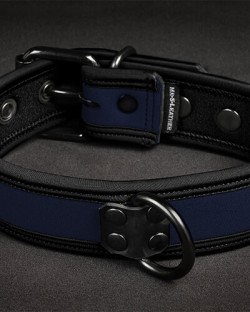 Neo Bold Color Puppy Collar Navy