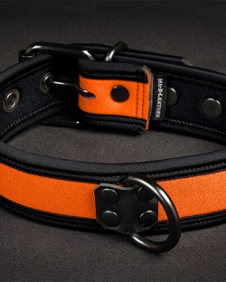 Neo Bold Color Puppy Collar Orange