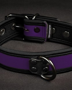 Neo Bold Color Puppy Collar Purple