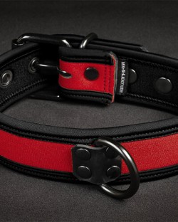 Neo Bold Color Puppy Collar Red