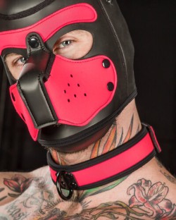 Neo Bold Color Puppy Collar Pink