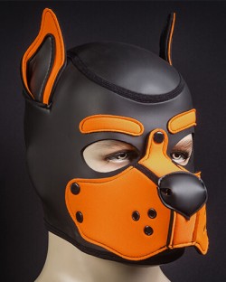 Neoprene K9 Hood - Orange