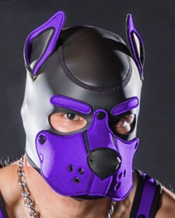 Neoprene K9 Hood Purple