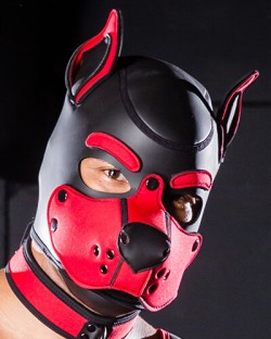 Neoprene K9 Hood Red