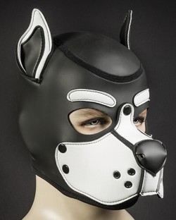 Neoprene K9 Hood White