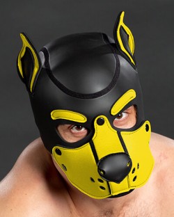 Neoprene K9 Hood Yellow